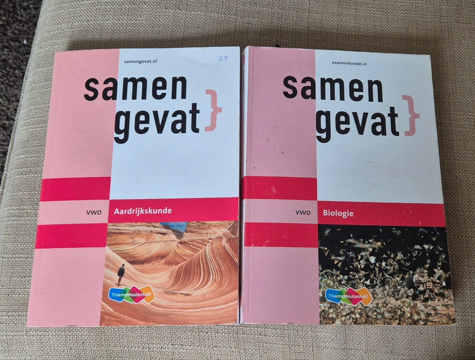 Samengevat VWO Aardrijkskunde & Biologie (ThiemeMeulenhoff), Ophalen of Verzenden, Zo goed als nieuw, VWO, Aardrijkskunde