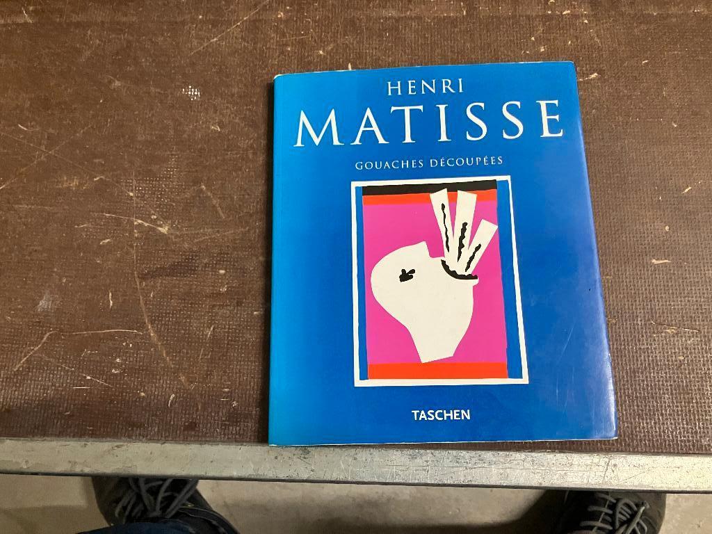Matisse papierkunst, Ophalen of Verzenden, Gelezen, Schilder- en Tekenkunst
