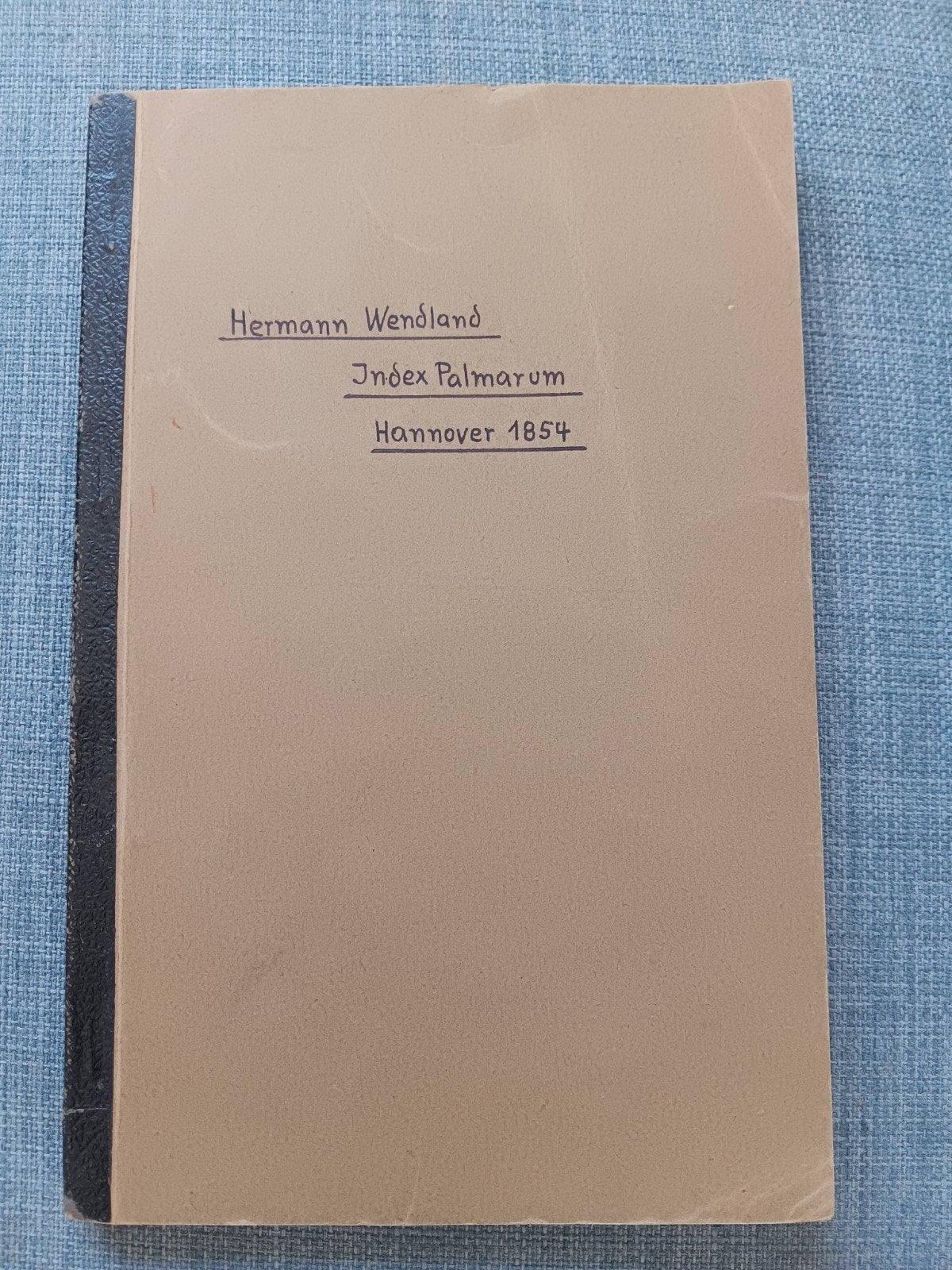 Wendland, Hermann: Index Palmarum 1854 - Erstausgabe, Ophalen of Verzenden, Hermann Wendland