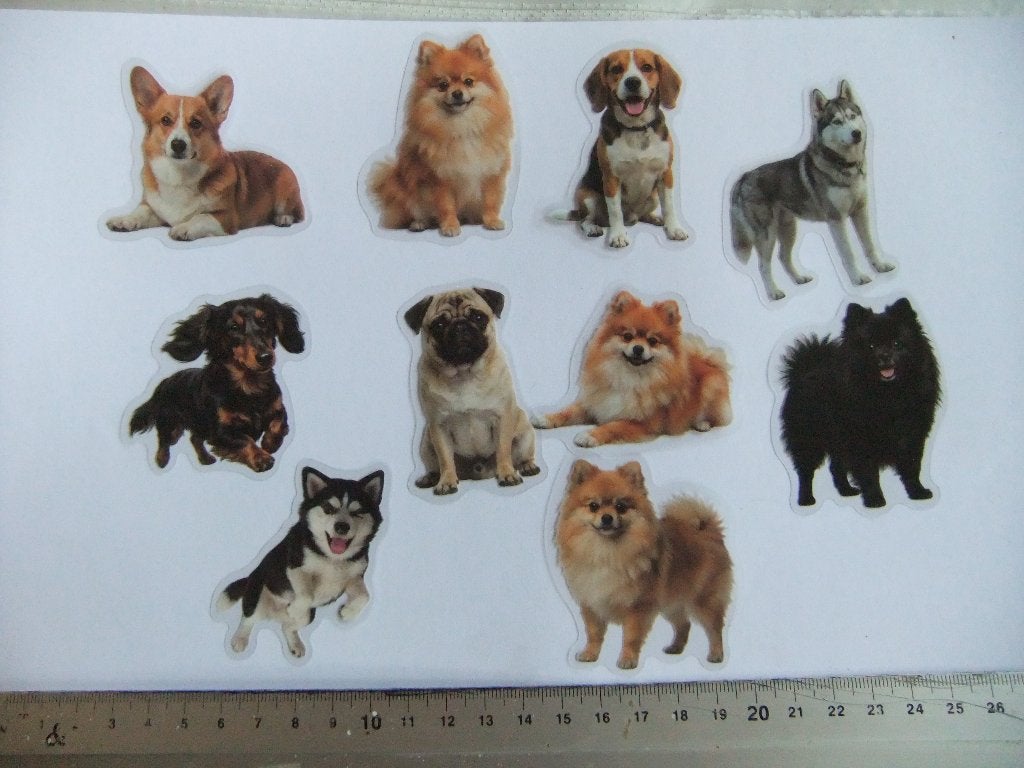 10 polypropyleen hondenstickers set 4, Verzenden