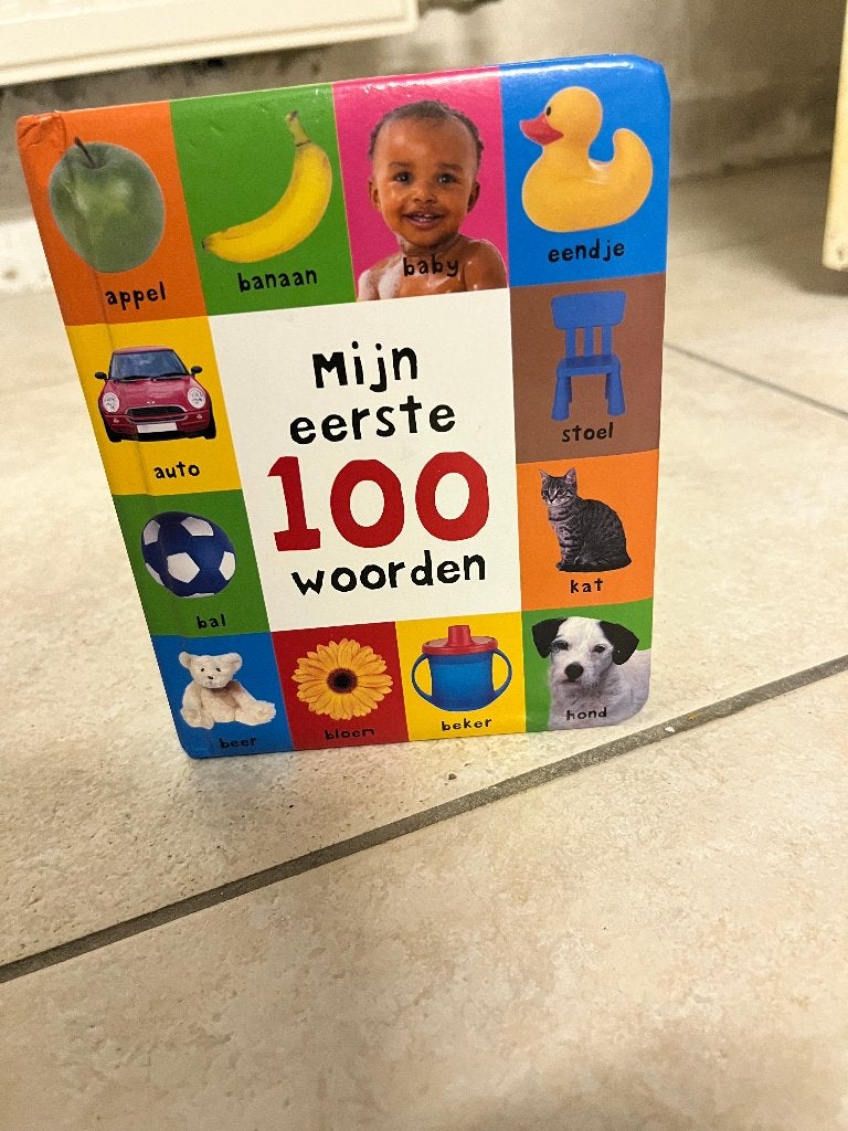 Mijn eerste 100 woorden - Baby's eerste boekje, Boeken, Gelezen, Ophalen of Verzenden, Priddy Books, Uitklap-, Voel- of Ontdekboek