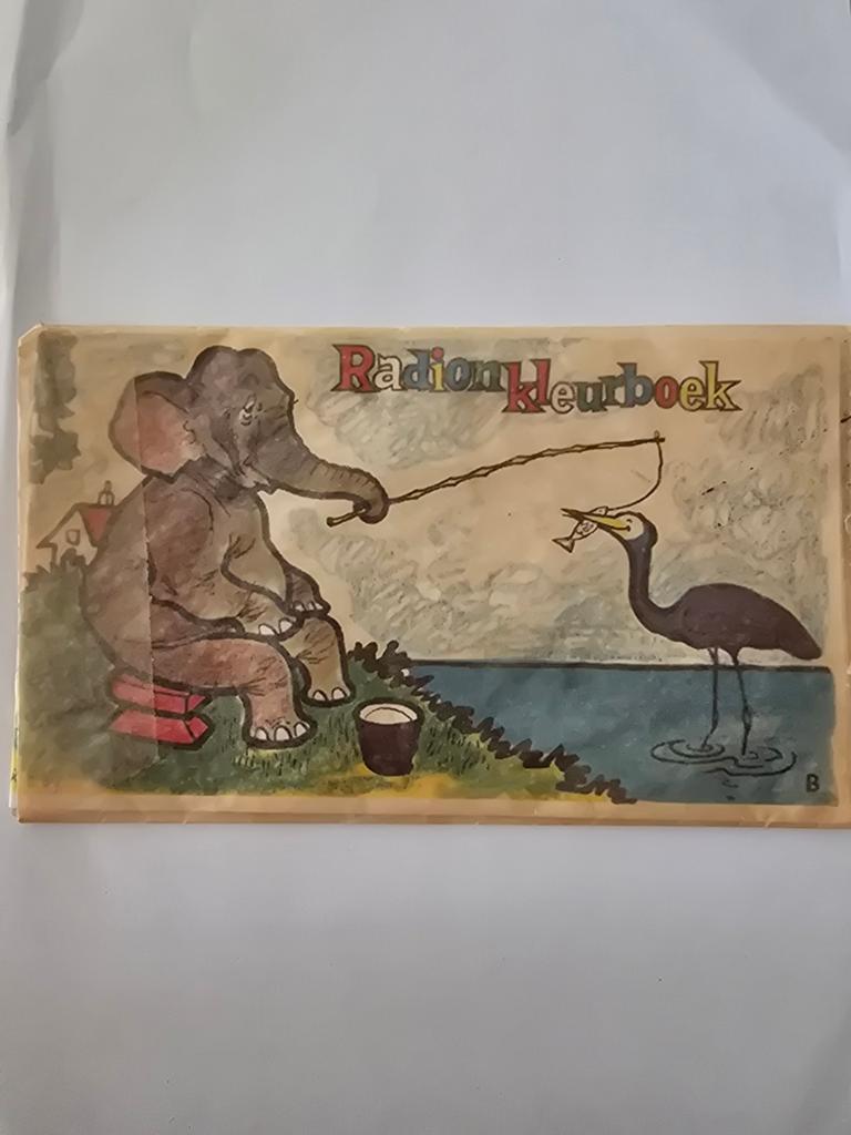 Radion Kleurboek - Nieuwstaat, Boeken, Ophalen of Verzenden, Nieuw, Onbekend, Non-fictie