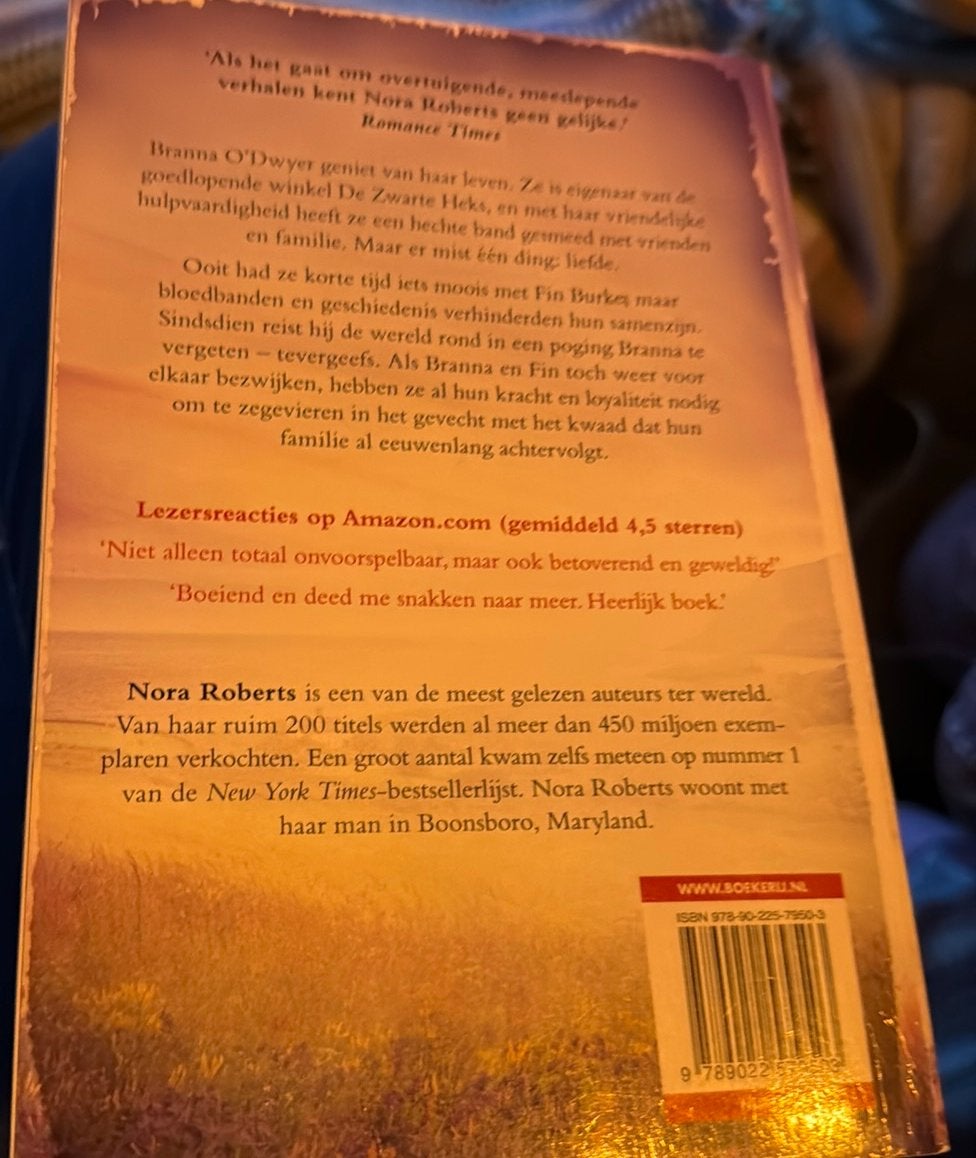 Nora Roberts - Vergeet haar niet deel 3, Boeken, Ophalen of Verzenden, Zo goed als nieuw, Nora Roberts