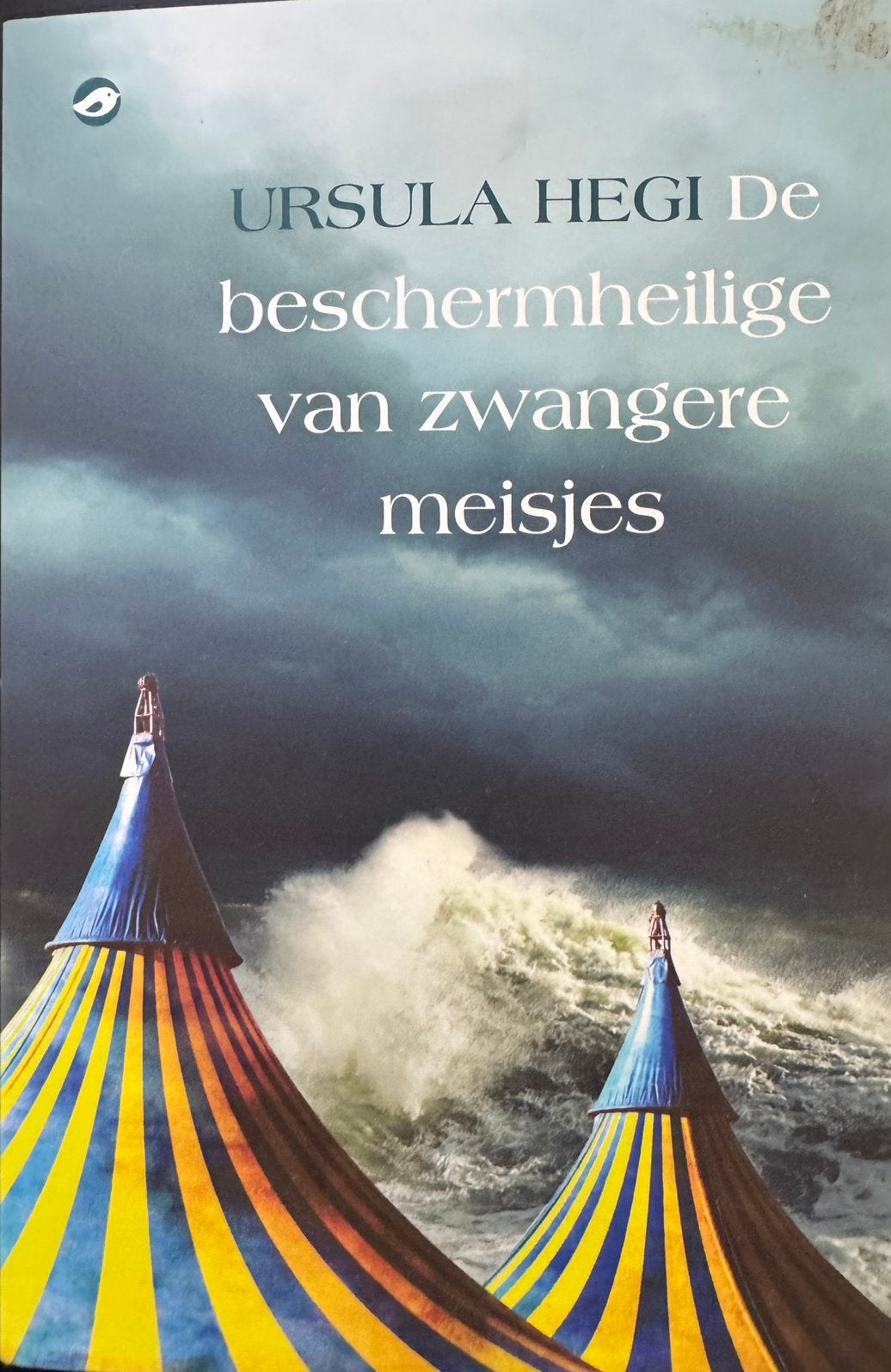 Ursula Hegi - De beschermheilige van zwangere meisjes, Ophalen of Verzenden, Zo goed als nieuw, Ursula Hegi