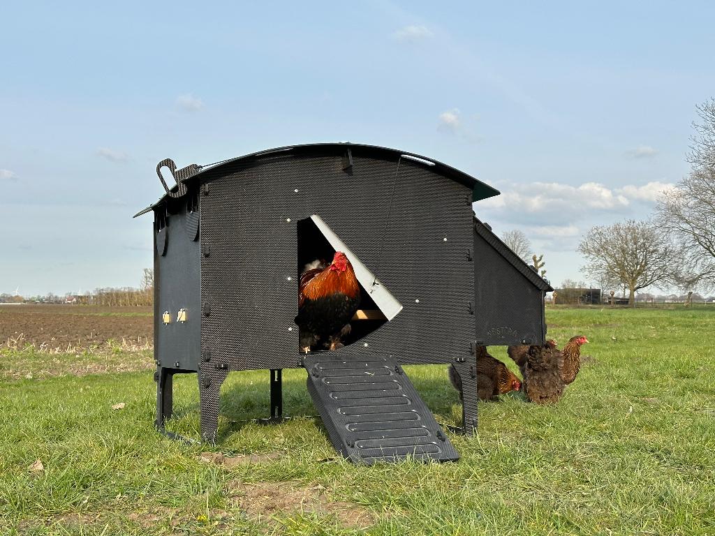 Kunststof Kippenhok – Nestera Large Op Pootjes, Ophalen of Verzenden, Nieuw, Kippenhok of Kippenren