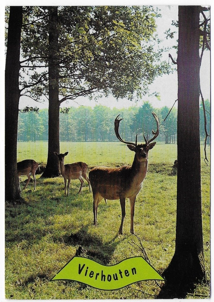 Vierhouten Gelopen Ansichtkaart ( B5329 ), Ophalen of Verzenden, 1980 tot heden, Gelopen