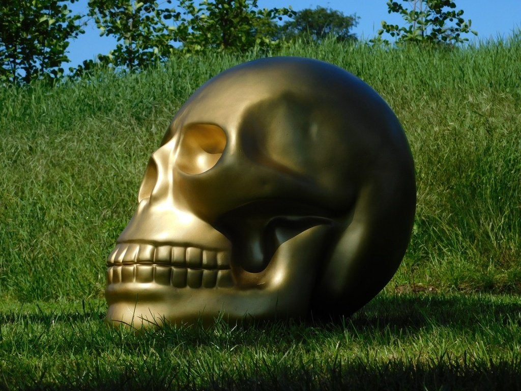 Grote Decoratieve Schedel - 60 x 60 cm - Goudkleurig, Ophalen of Verzenden
