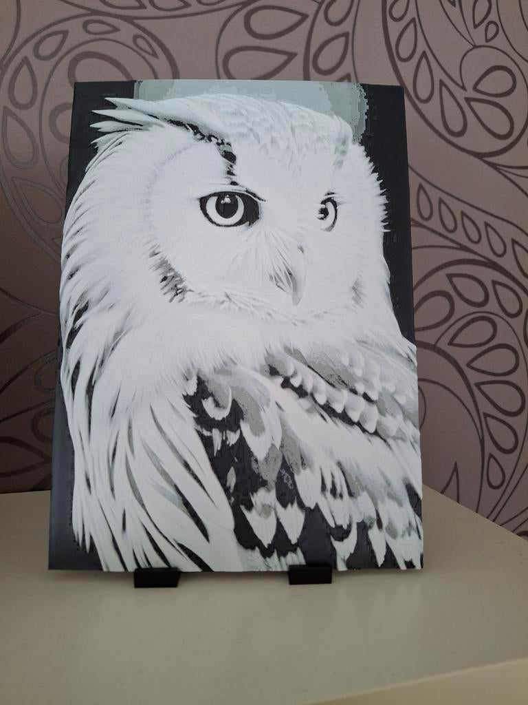 3d geprint schilderij uil, Minder dan 50 cm, Nieuw, Ophalen of Verzenden, Schilderij