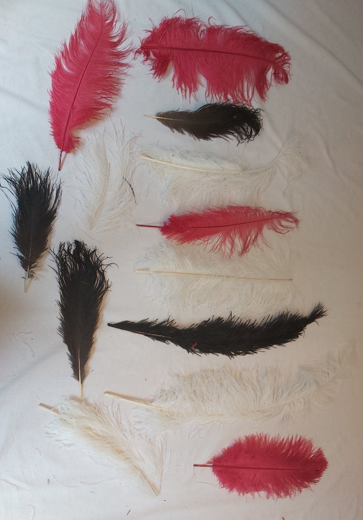 Set nieuwe mooie struisvogel veren (A) zwarte en witte, Ophalen of Verzenden, Nieuw, Meerdere media, Kunst en Creatief