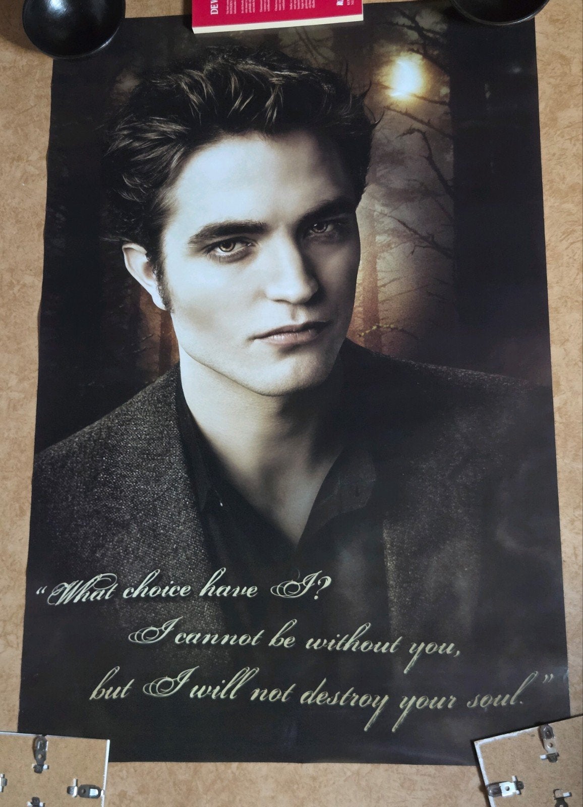 Twilight Edward Cullen Poster - 91x61cm, Rechthoekig Staand, Deurposter of groter, Ophalen of Verzenden, Zo goed als nieuw
