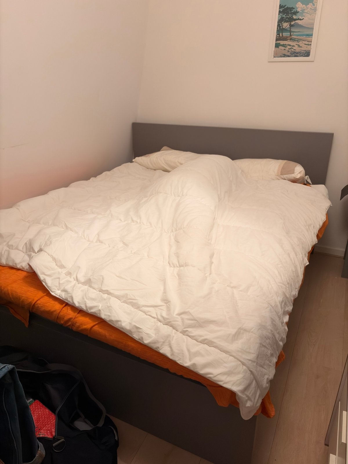 IKEA VÅGSTRANDA Tweepersoonsbed met opbergruimte