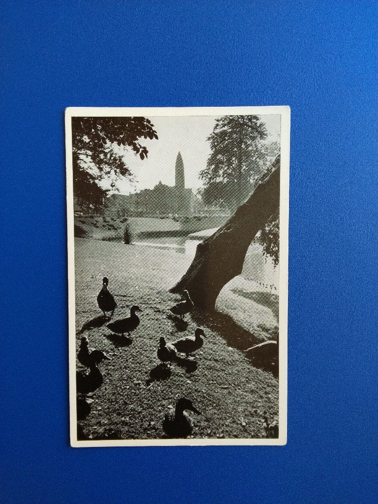 Driebergen, De Wildbaan. Klf, Verzenden, 1960 tot 1980, Ongelopen, Utrecht