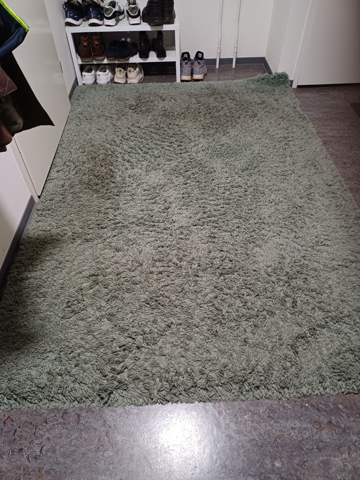 Gratis af te halen: Groen vloerkleed, Gebruikt, 150 tot 200 cm, 200 cm of meer, Ophalen of Verzenden