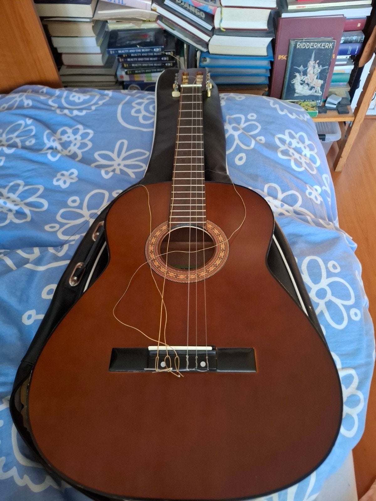 Kinor gitaar - Zoldervondst met aandacht nodig, Ophalen