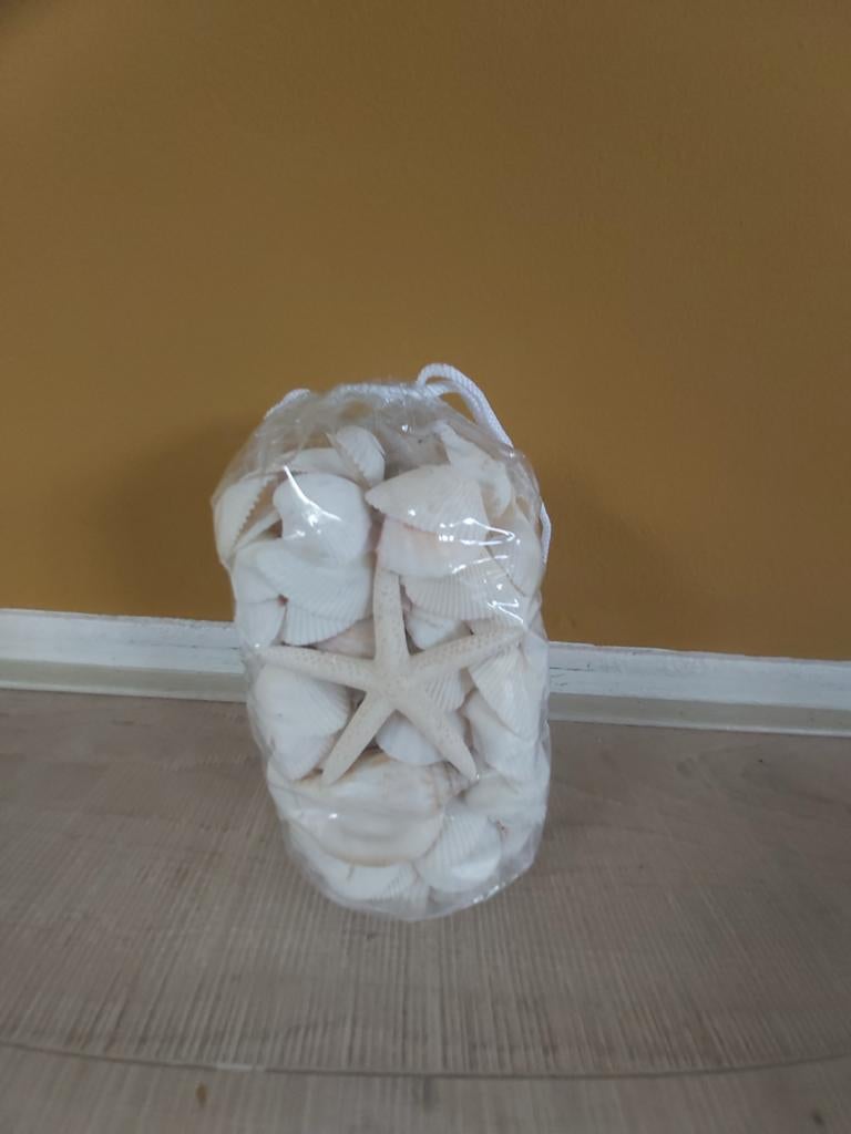 Nieuwe decoratieve schelpen uit woonwinkel, Ophalen of Verzenden, Nieuw, Meerkleurig, Natuurlijk materiaal