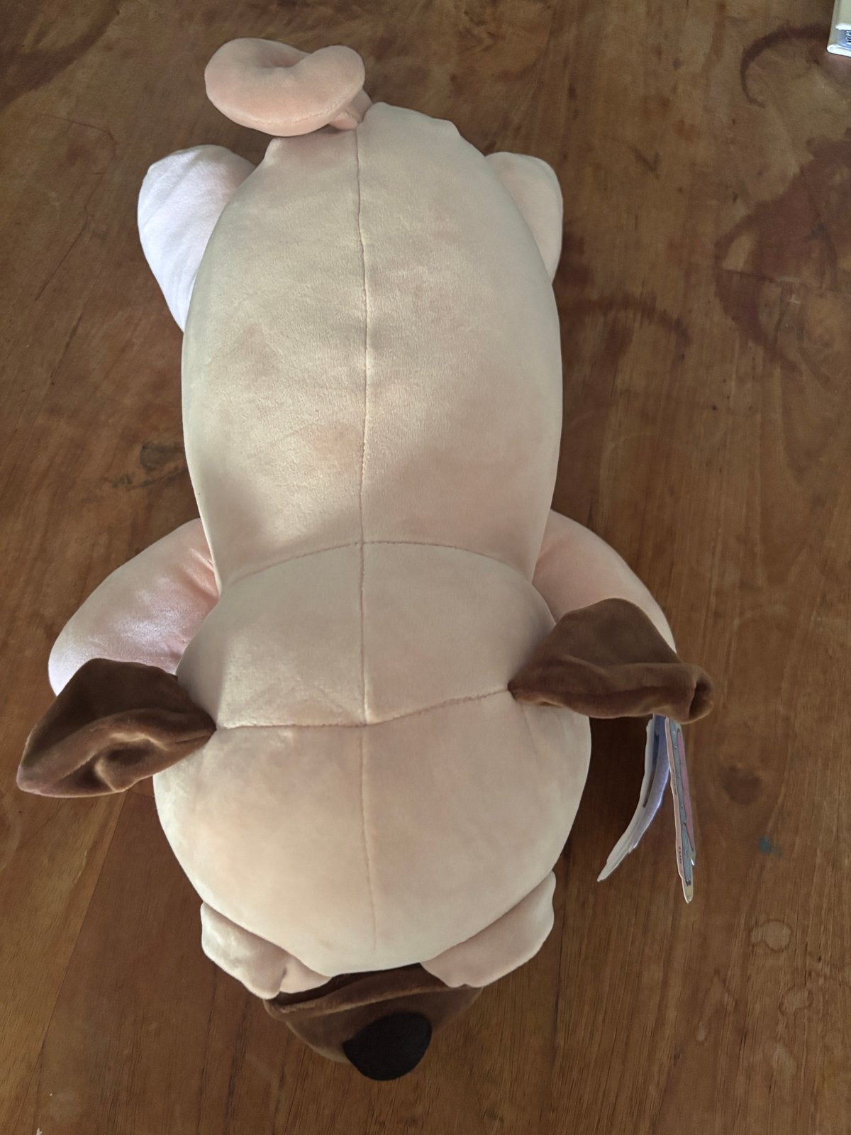 Nieuwe Cosy Cuddles Mopshond Knuffel - Onbeschadigd, Ophalen, Overige merken, Nieuw, Hond
