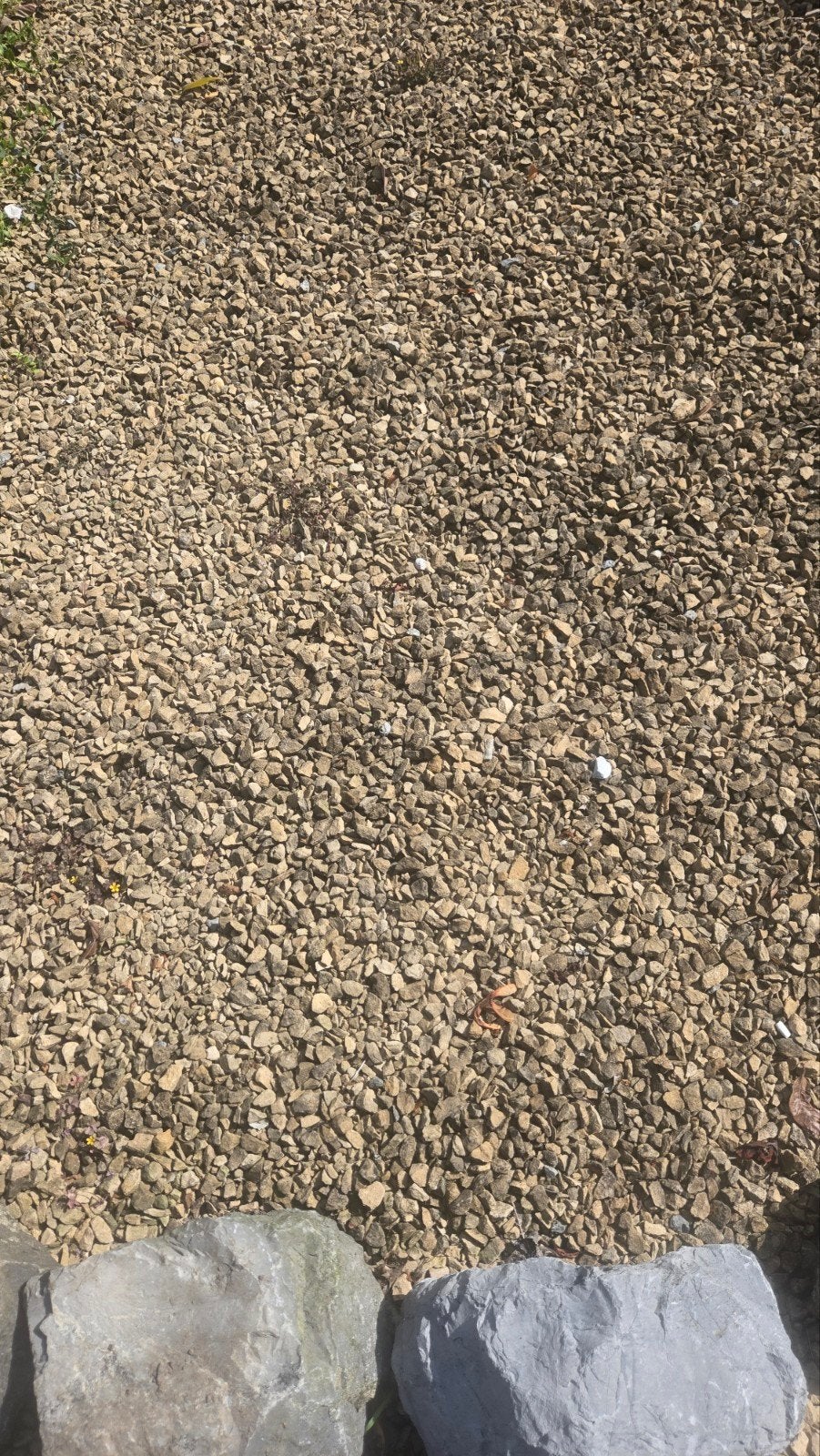 Gele split steentjes gratis af te halen, Tuin en Terras, Ophalen, Gebruikt, Geel, Split