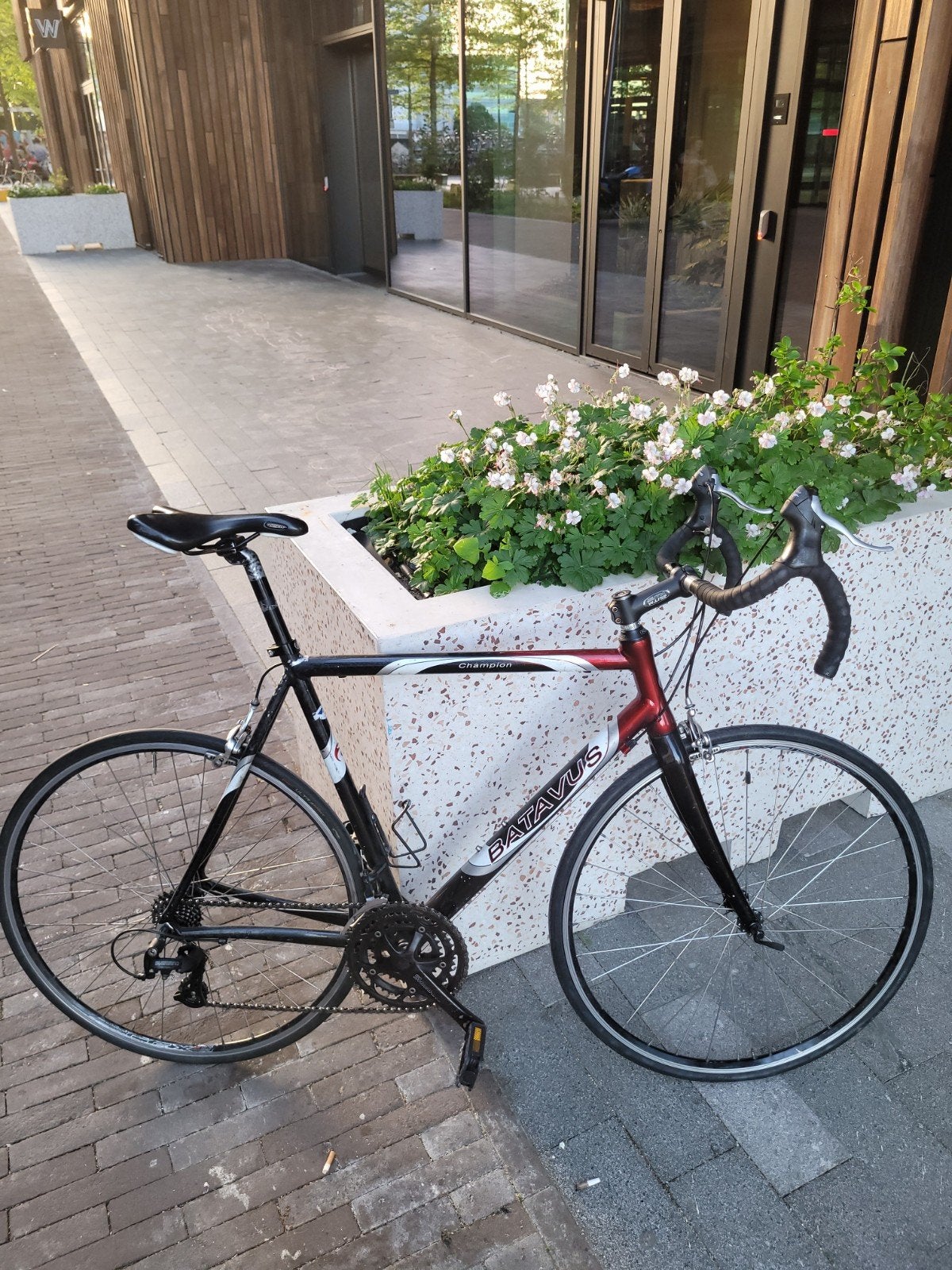 Batavus Champion Racefiets - framemaat 54, Ophalen, Gebruikt, Batavus, Aluminium