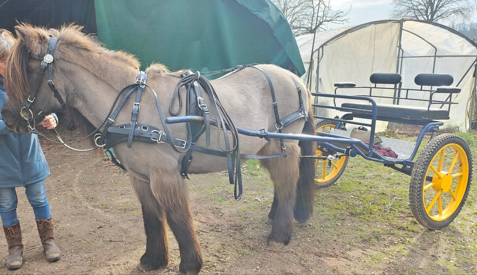 Zilco kunststof enkelspan tuig, maat cob/c pony., Ophalen of Verzenden, Zo goed als nieuw