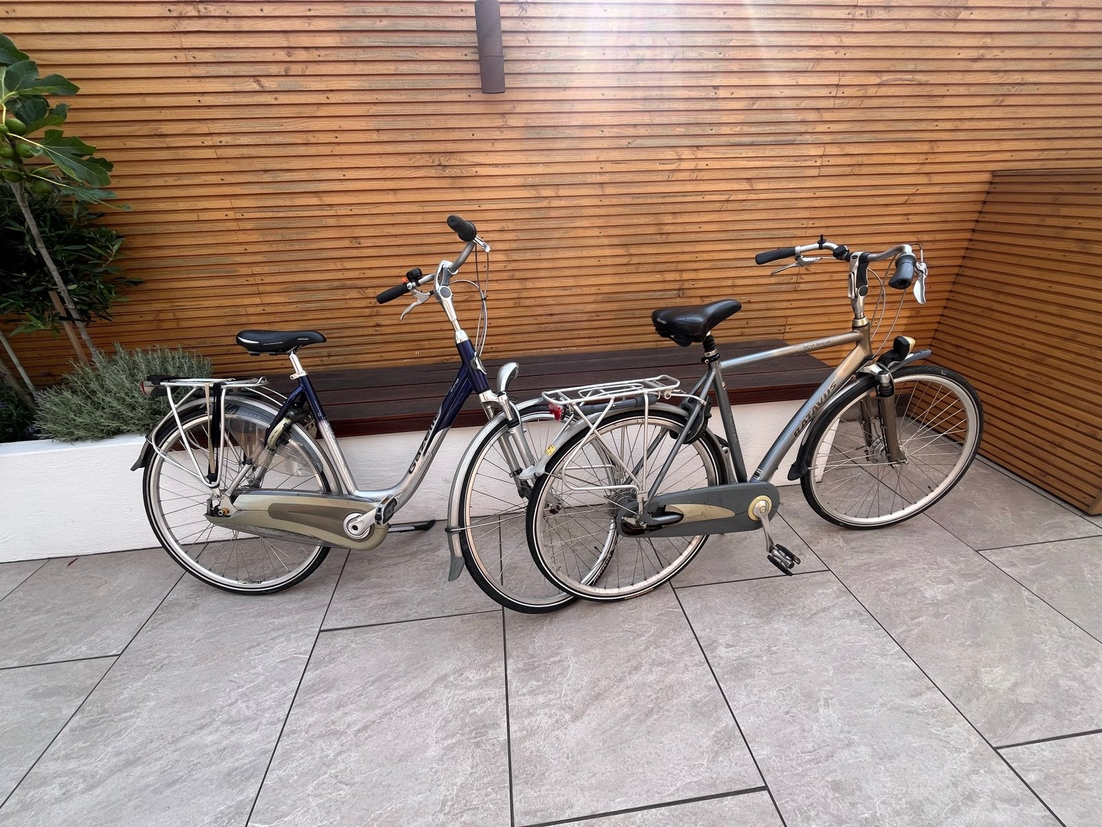 Twee nette fietsen, Gazelle en Batavus, Ophalen, Velgrem, Gazelle, 53 tot 56 cm