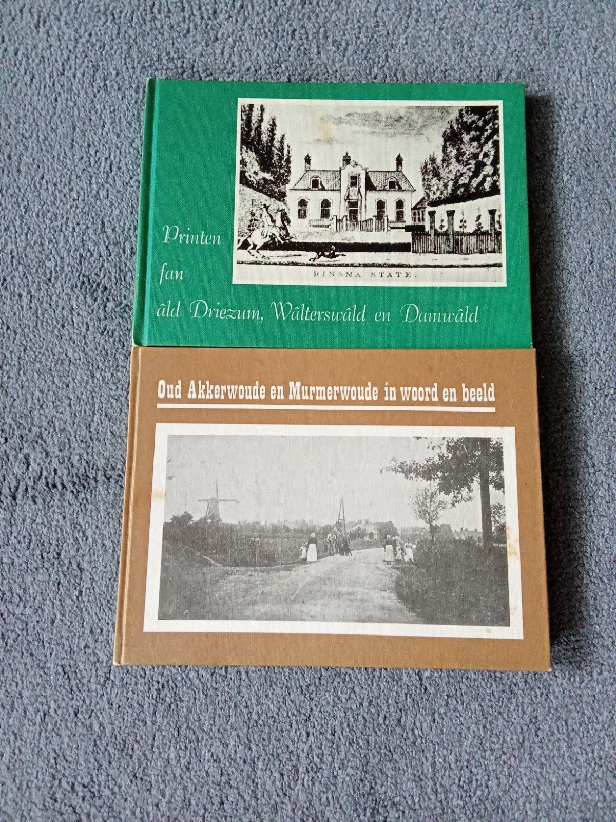 GRATIS Boeken Driezum, Wâlterswâld, Damwâld, Ophalen, Gelezen