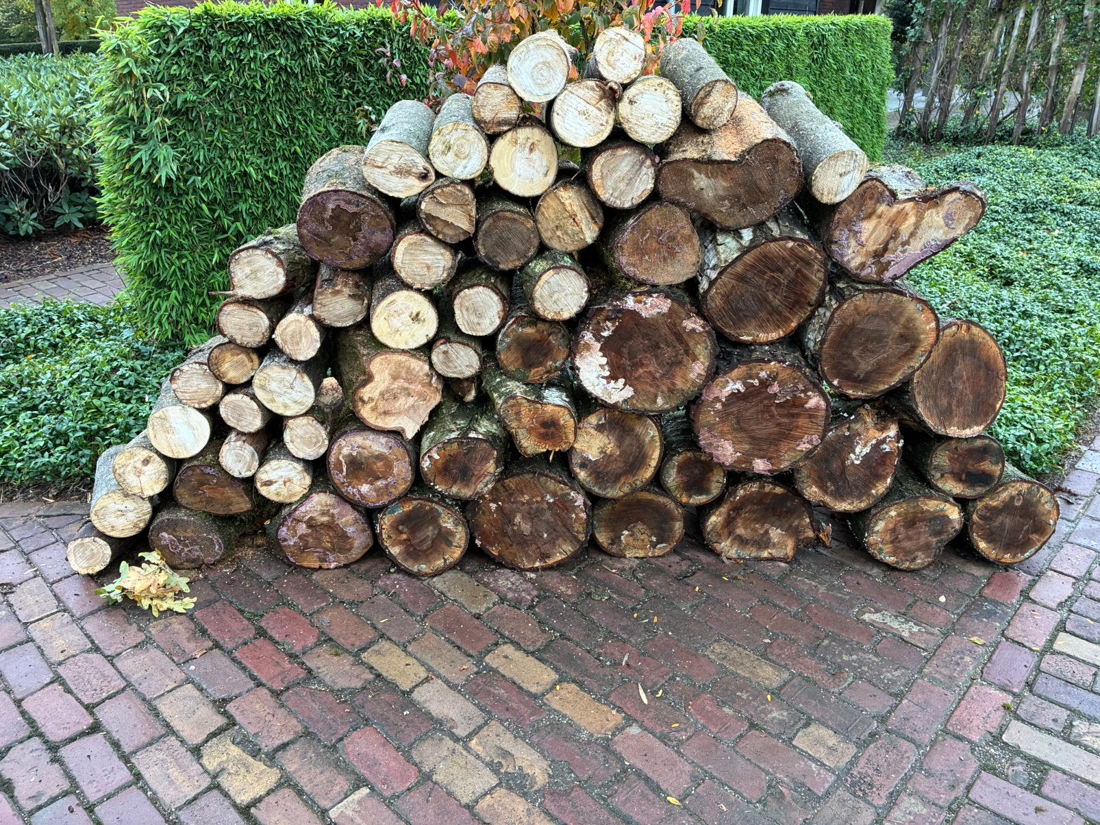 Haardhout berk els eik 1m3, Minder dan 3 m³, Ophalen