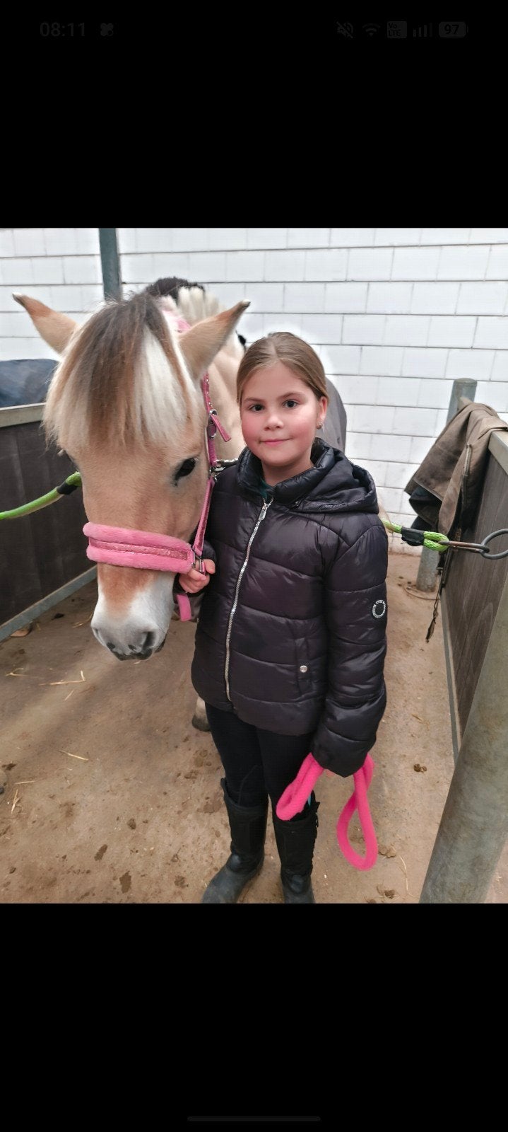 verzorgpaard gezocht., Dieren en Toebehoren, Ophalen of Verzenden