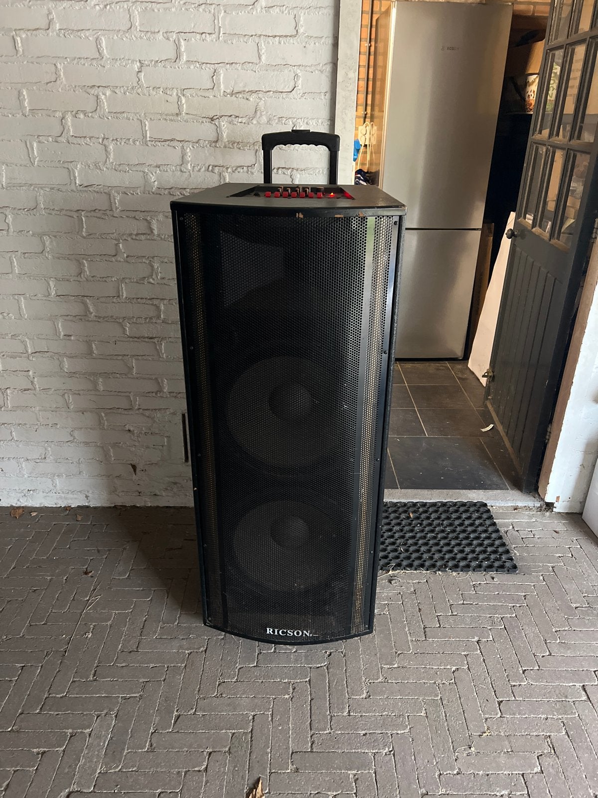 Ricson 300 Watt Party Speaker met Lichteffecten, Party speaker, Ophalen of Verzenden, 150 watt of meer, Overige merken