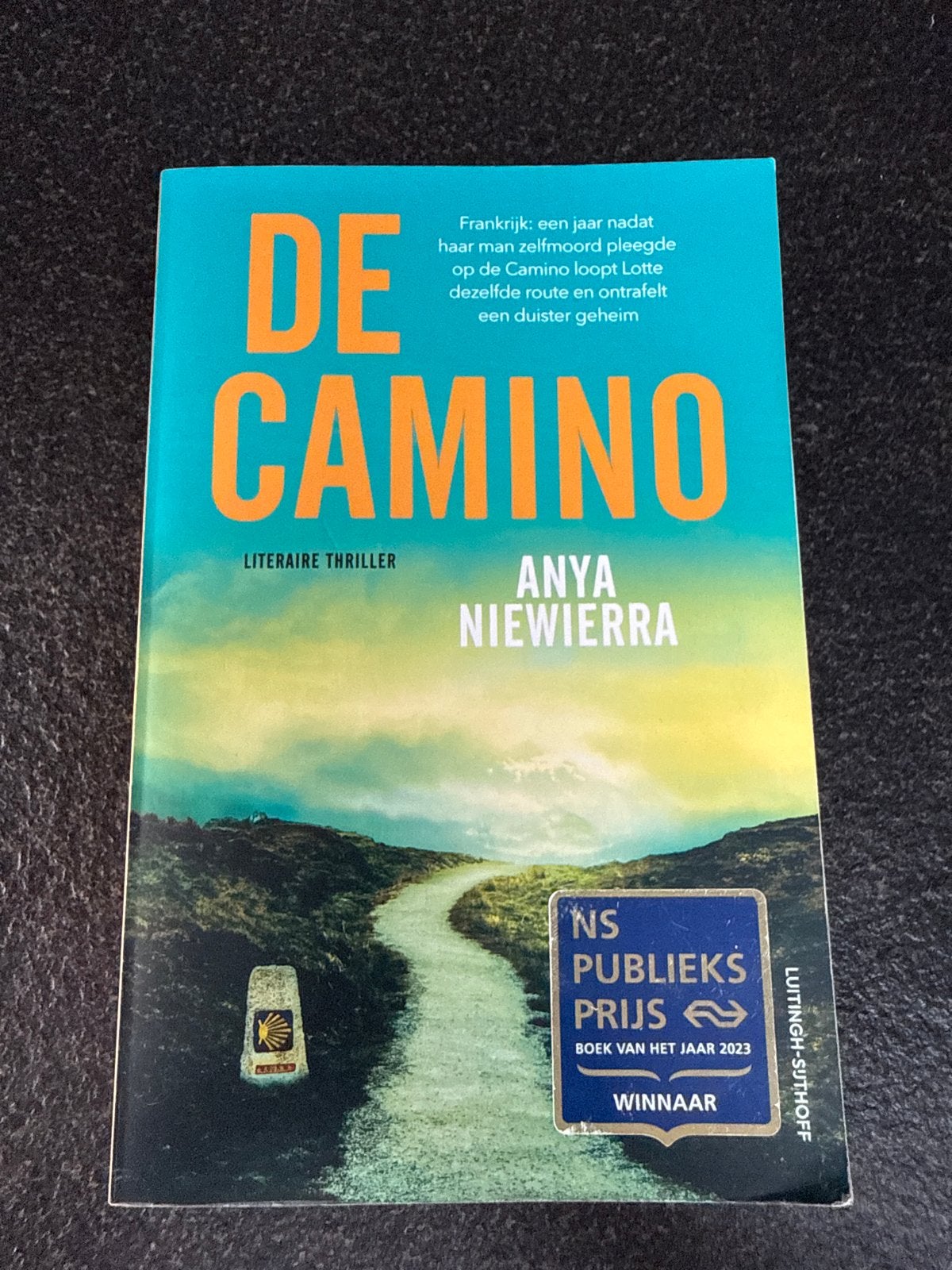 Anya Niewierra - De Camino, Boeken, Ophalen of Verzenden, Zo goed als nieuw, Nederland, Anya Niewierra