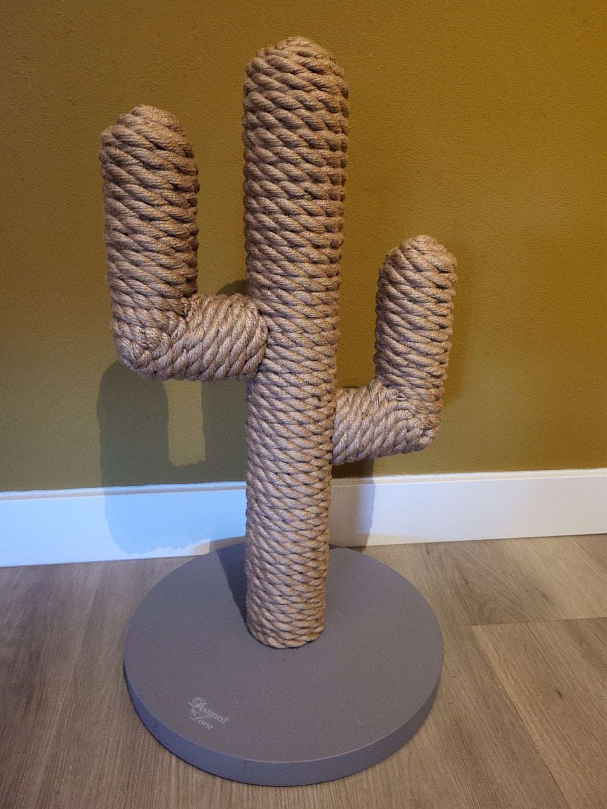 Krabpaal cactus, Ophalen, Nieuw