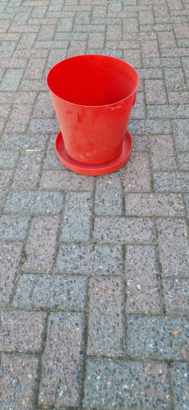 Voerton, Ophalen of Verzenden, Gebruikt