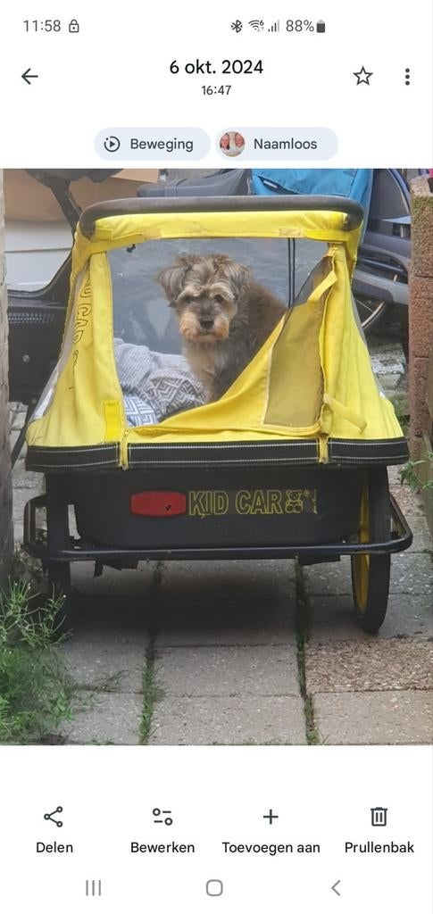 Handige fietsaanhanger voor hond, kind of bagage, Fietsen en Brommers, Fietsaccessoires | Aanhangers en Karren, Gebruikt, Opvouwbaar