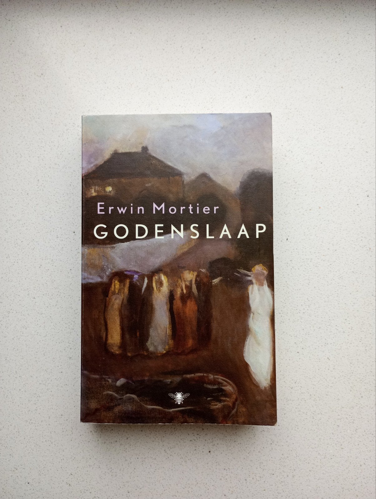 Godenslaap - Erwin Mortier, Ophalen of Verzenden, Gelezen