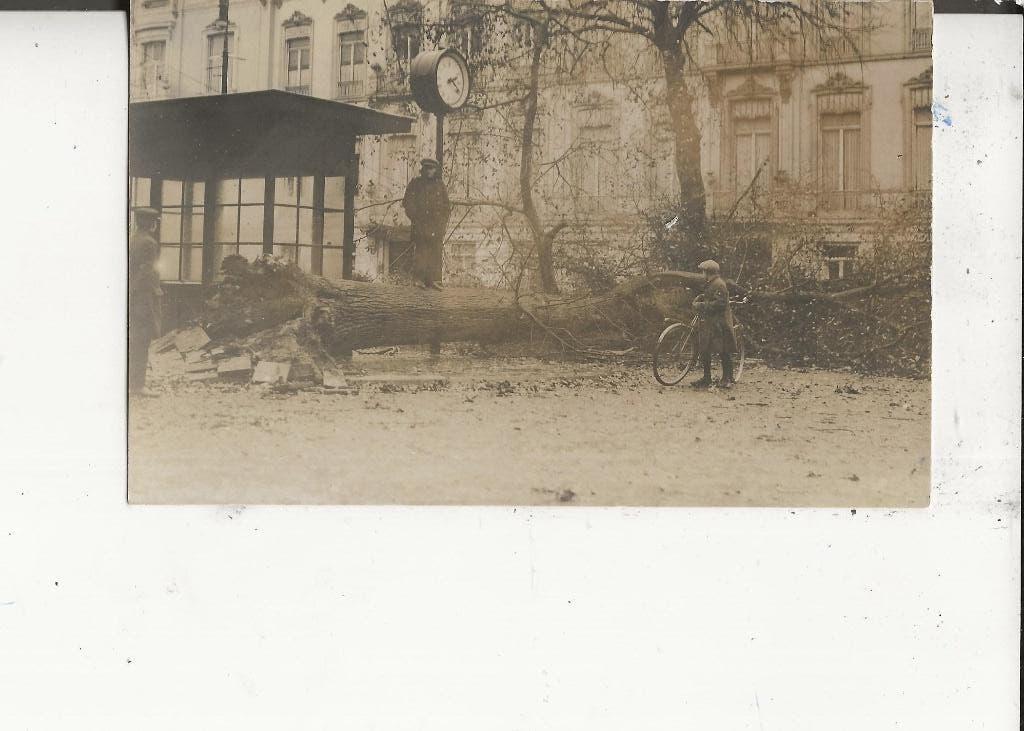 Den Haag Bezuidenhout Omgewaaide boom en wachthokje 1921, Ophalen of Verzenden, 1920 tot 1940, Ongelopen, Zuid-Holland