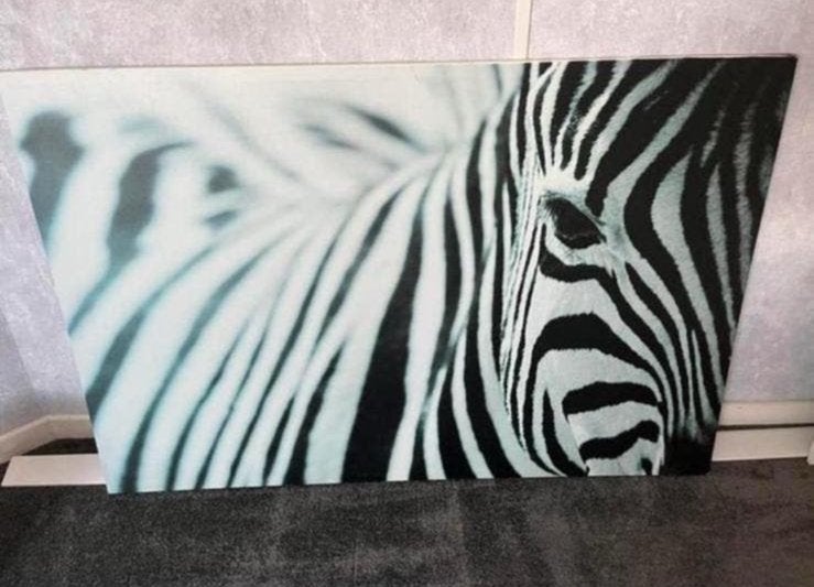Canvas zebra Ikea 78x118cm, Ophalen, Zo goed als nieuw, Schilderij, 100 tot 125 cm