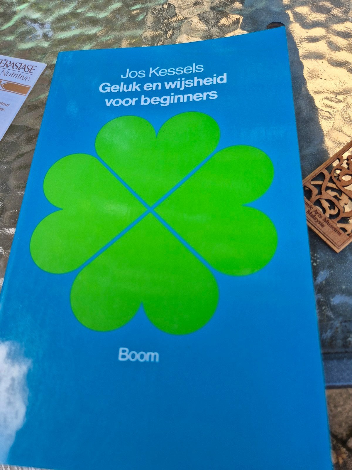 Geluk en Wijsheid voor Beginners - Jos Kessels, Boeken, Ophalen of Verzenden, Zo goed als nieuw, Wijsbegeerte of Ethiek, Jos Kessels