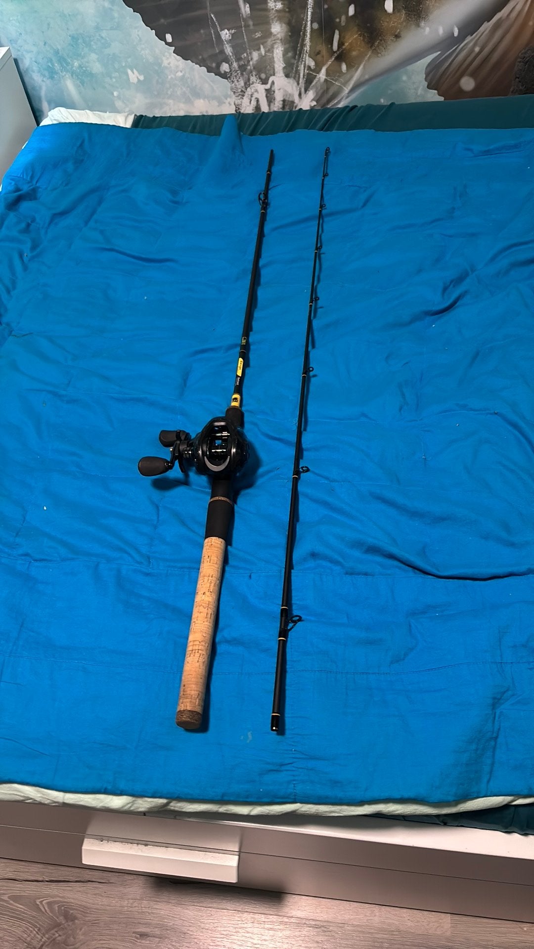 LFT baitcaster 210 25-50 gram incl molen, Ophalen, Gebruikt, Werphengel