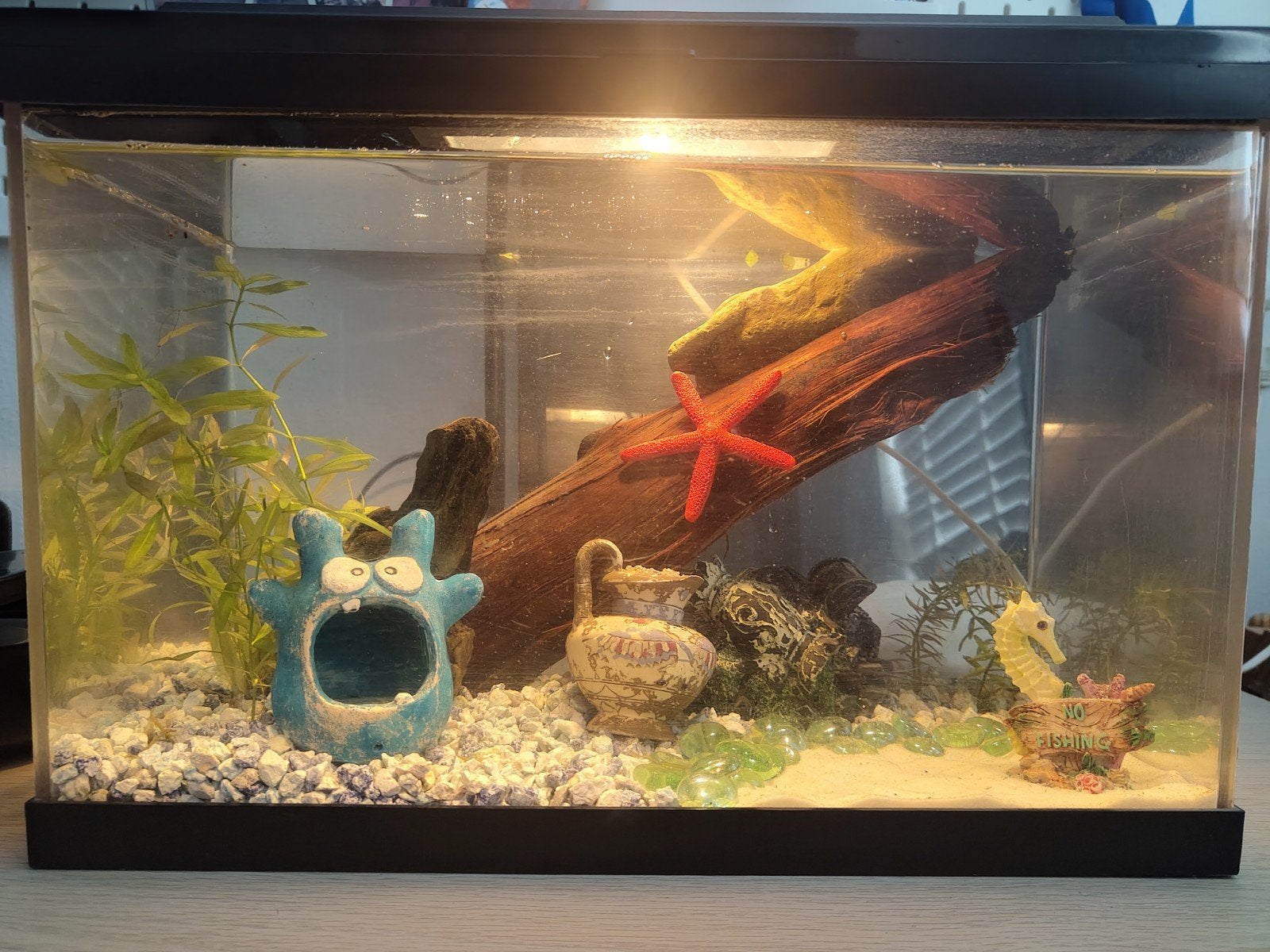 Aquarama 20L aquarium, Dieren en Toebehoren, Ophalen, Inclusief planten, Gevuld zoetwateraquarium