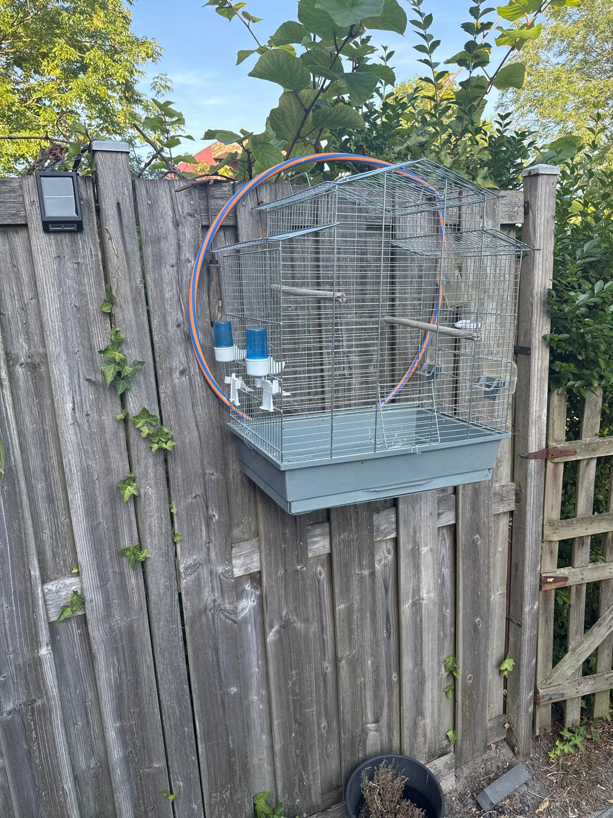 Vogelkooi, Dieren en Toebehoren, Ophalen of Verzenden, Zo goed als nieuw, Metaal, Vogelkooi