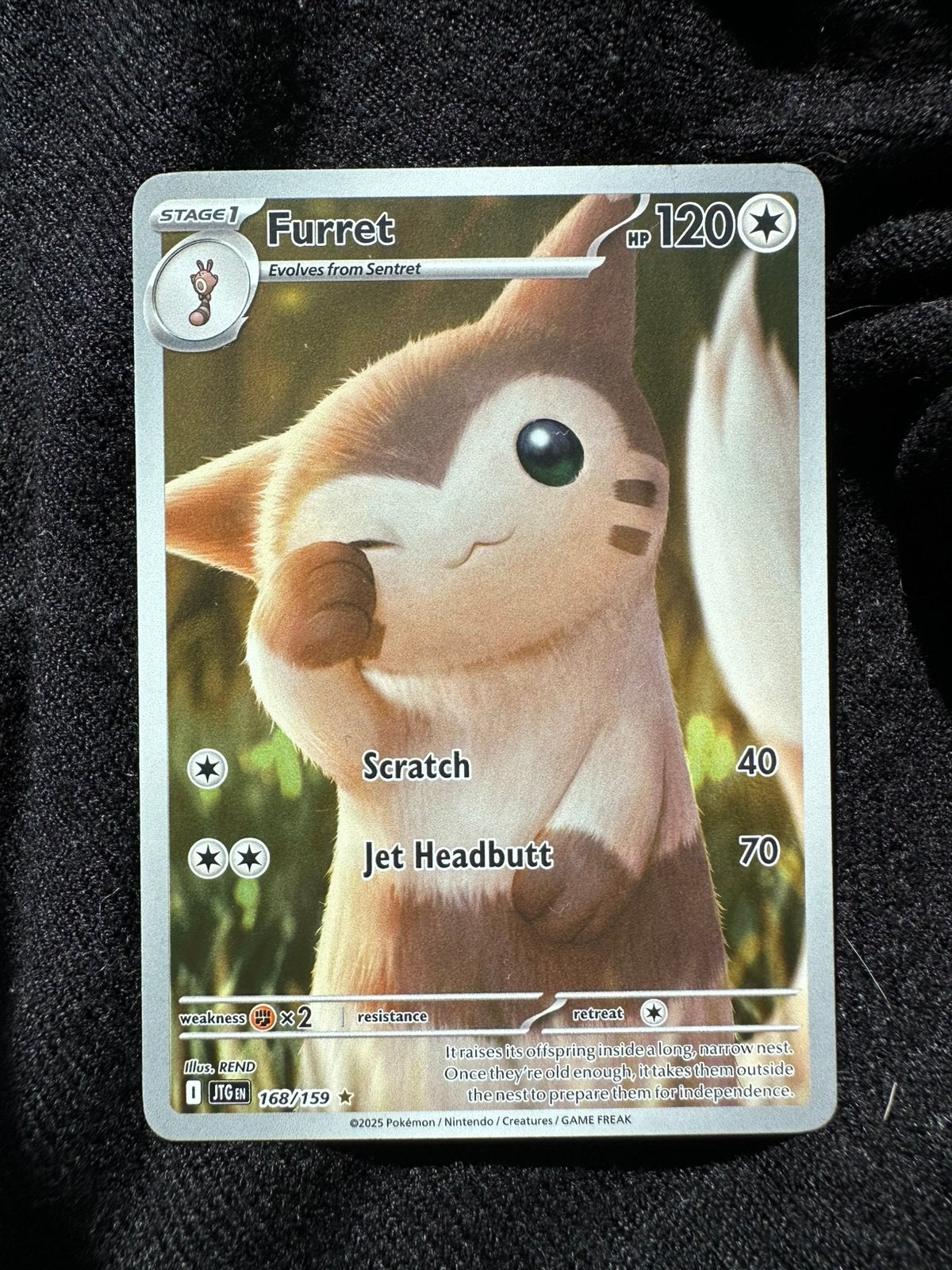 Furret (JTG 168) Journey Together, Ophalen of Verzenden, Nieuw