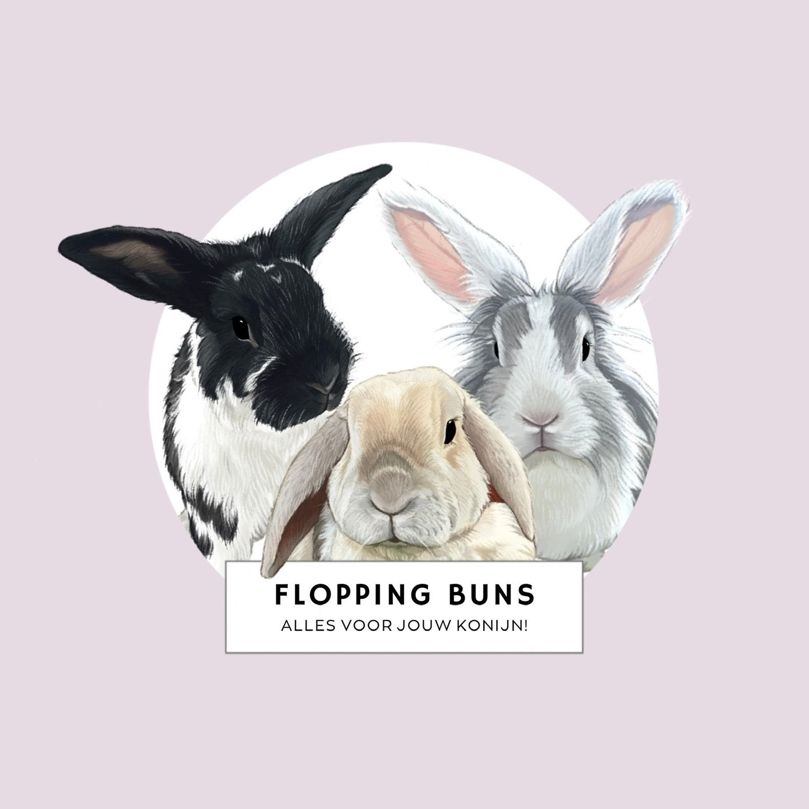 Flopping Buns Webshop, Dieren en Toebehoren, Konijnen, Meerdere dieren, Dwerg