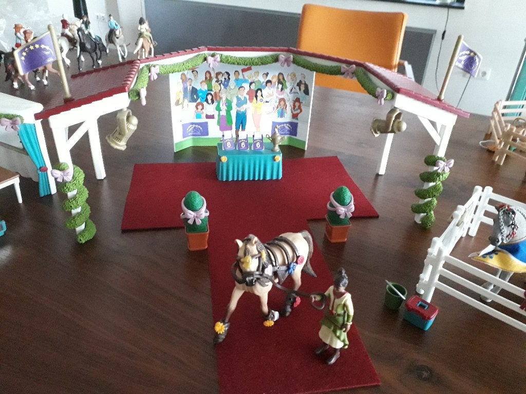 SCHLEICH HORSE CLUB SET CAT NR : 42666 in ZEER GOEDE STAAT, Ophalen of Verzenden, Zo goed als nieuw, Jongen of Meisje