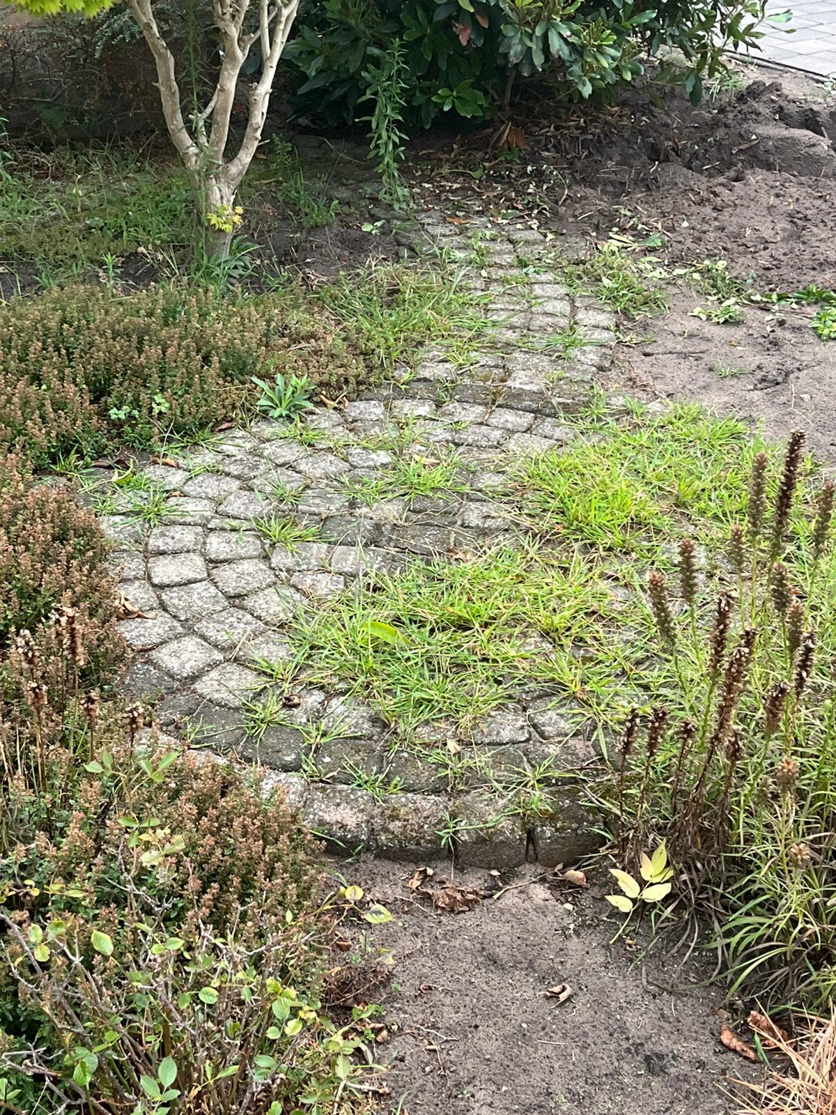 Steentjes gratis, Ophalen, Zo goed als nieuw, Beton, Klinkers