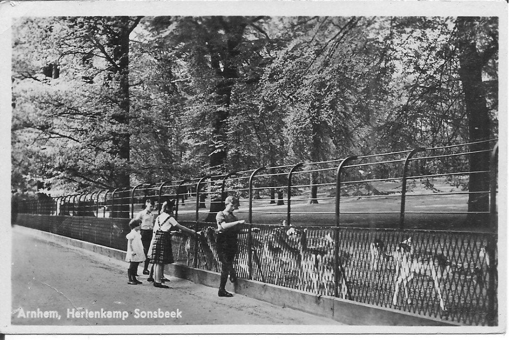 Ansichtkaart Arnhem, Hertenkamp Sonsbeek (1939), Ophalen of Verzenden, 1920 tot 1940, Gelopen, Gelderland