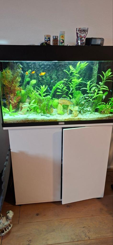 Aquarium incl toebehoren en vissen, Dieren en Toebehoren, Ophalen of Verzenden, Gevuld zoetwateraquarium