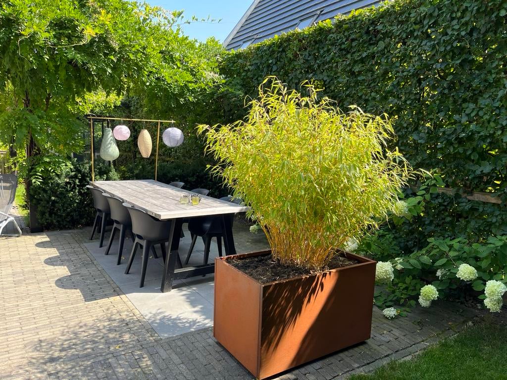 Plantenbakken cortenstaal - nieuw, Tuin en Terras, Bloembakken en Plantenbakken, Ophalen of Verzenden, Nieuw, Metaal, Balkon
