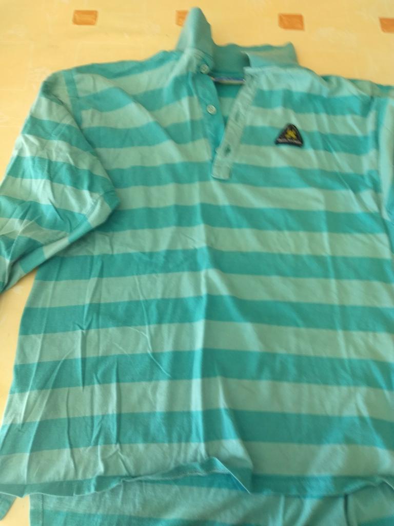 Polo Gaastra maat l, Kleding | Heren, Ophalen of Verzenden, Gedragen, Maat 52/54 (L), Overige kleuren