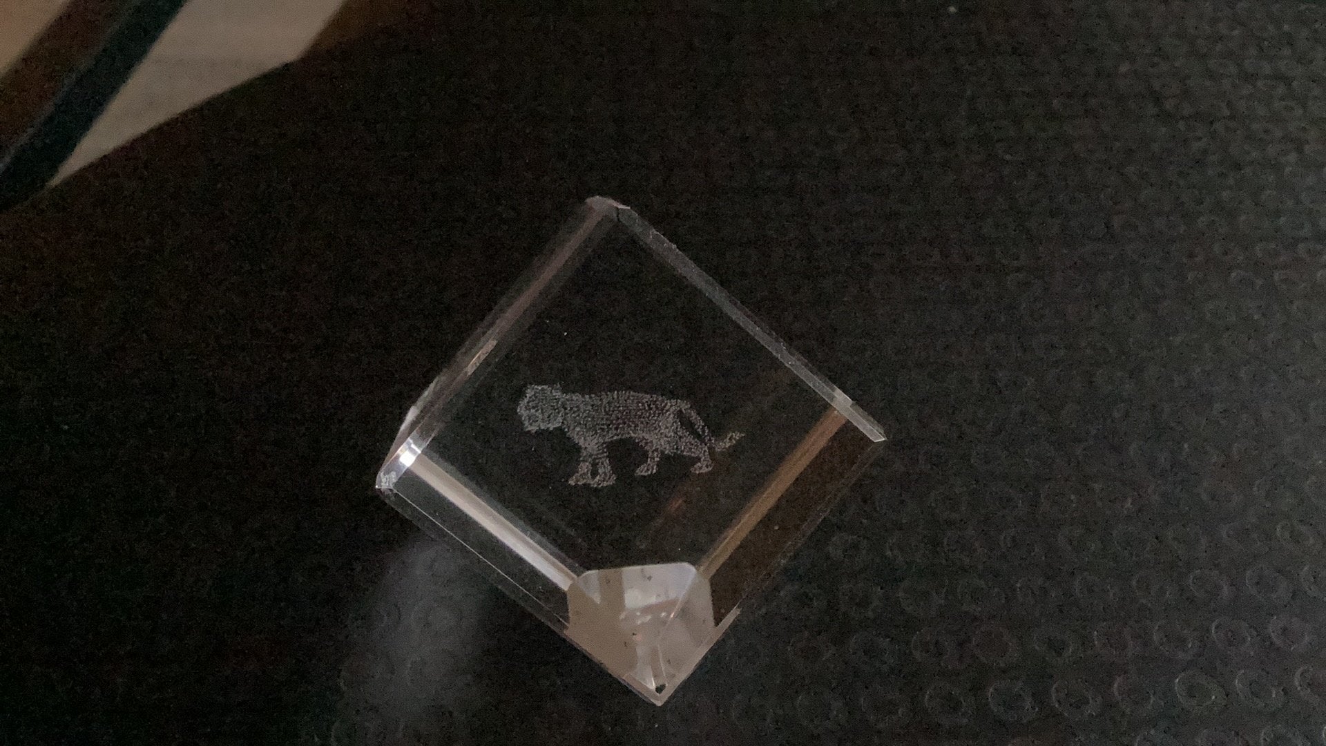 Presse-papier met hologram tijger, Verzamelen, Ophalen of Verzenden, Zo goed als nieuw, Dier