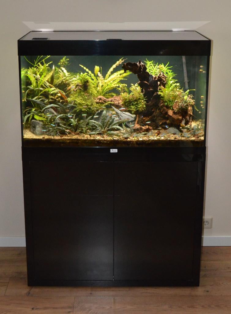 Unieke set ! Aqualantis Sublime 100 x 50 geheel compleet, Ophalen, Gebruikt, Aquatlantis, Gevuld zoetwateraquarium