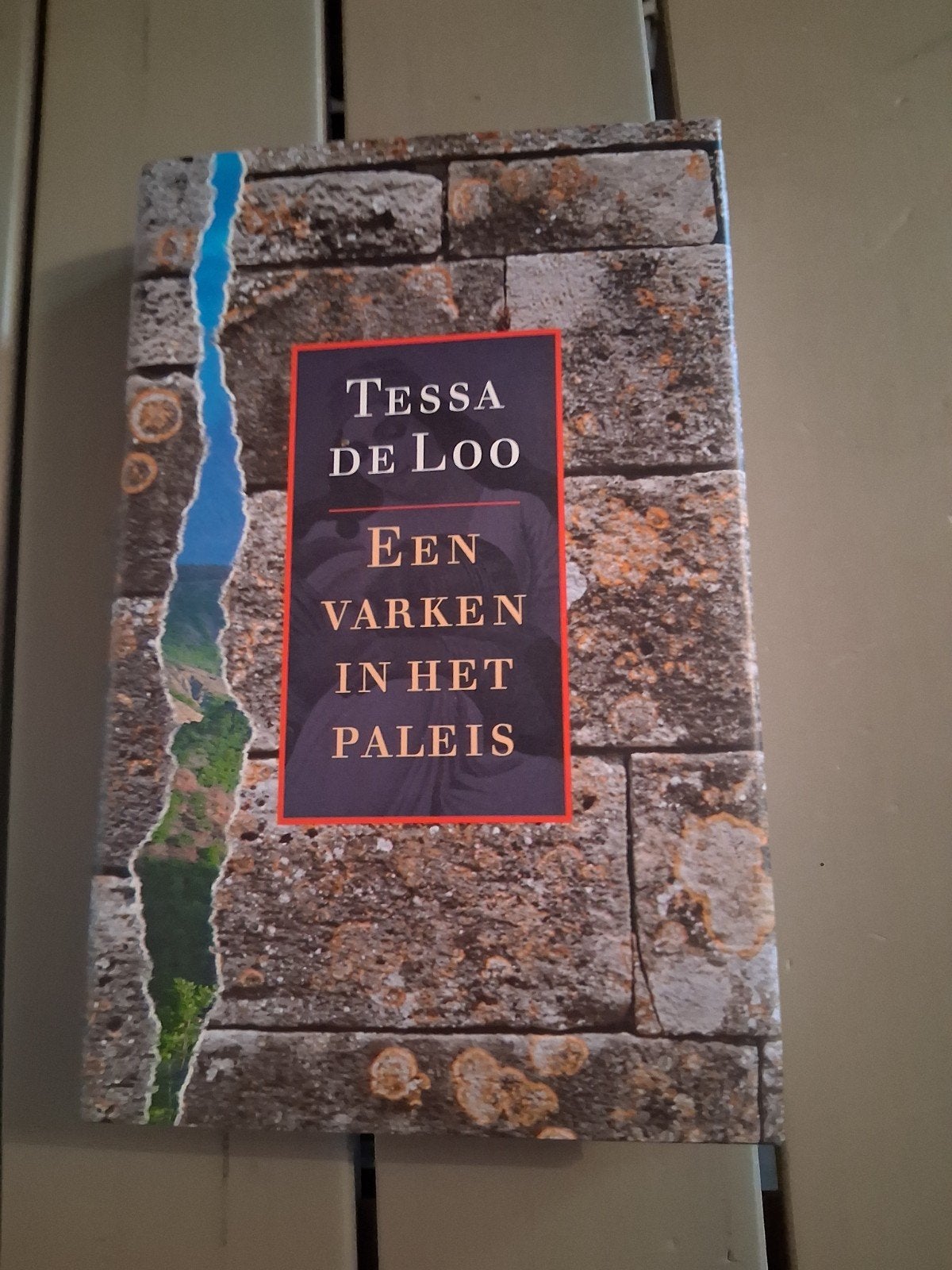 Tessa de Loo - Een varken in het paleis, Ophalen of Verzenden, Zo goed als nieuw, Tessa de Loo, Nederland